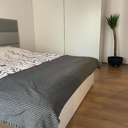 The Botanic Corner Apartment Wrocław Extérieur photo